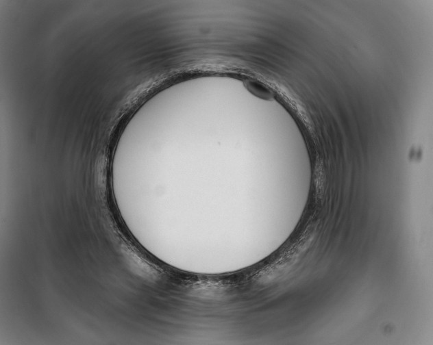 X0000099580445200806061630