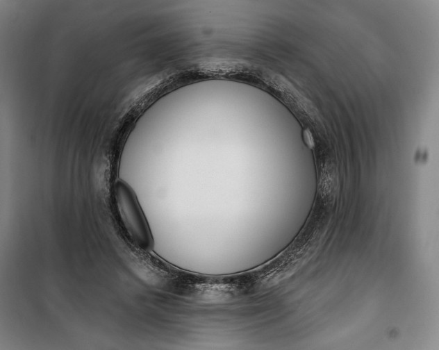 X0000099580448200806061630