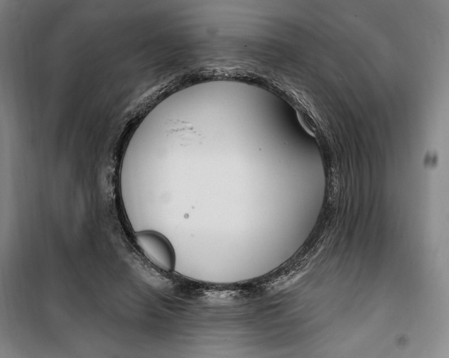 X0000099580450200806061630