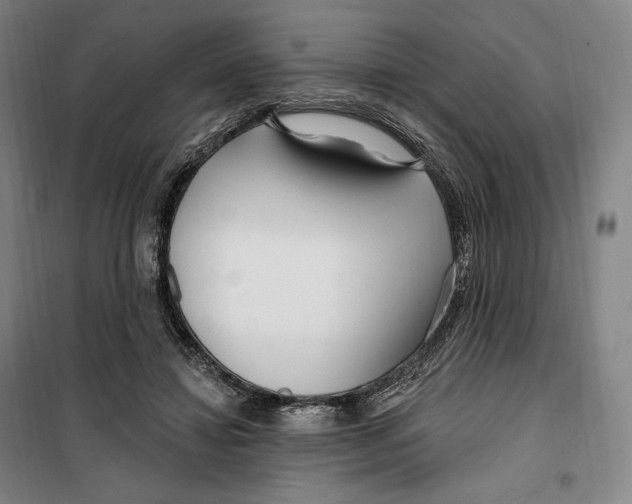 X0000099580452200806061630