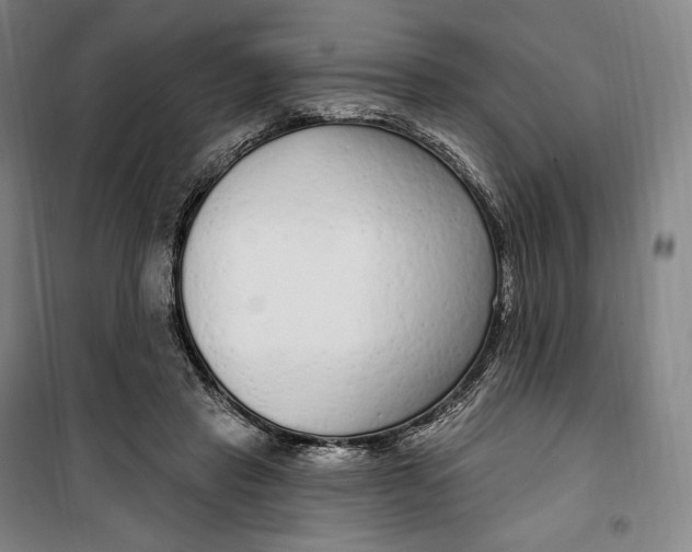 X0000099580453200806061630