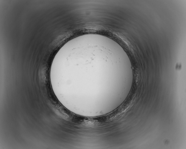 X0000099580455200806061631