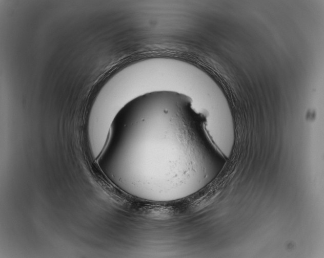 X0000099580456200806061631