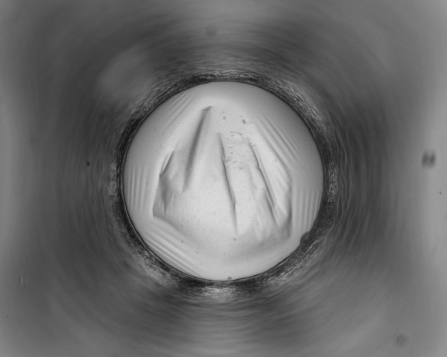 X0000099580457200806061631