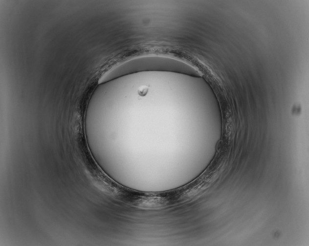 X0000099580459200806061631