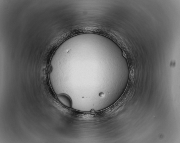 X0000099580462200806061631