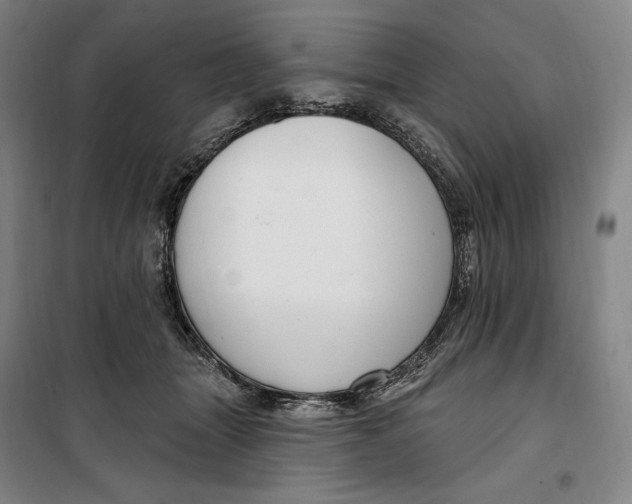 X0000099580463200806061631