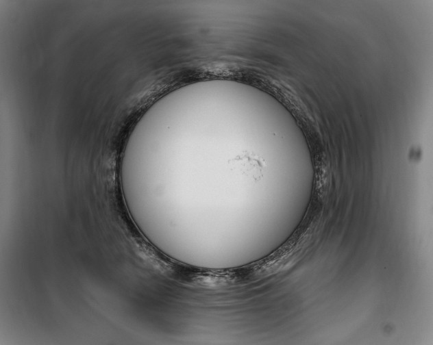 X0000099580466200806061631