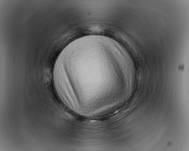 X0000099580467200806061631