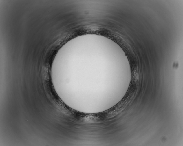 X0000099580468200806061631