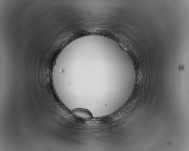 X0000099580470200806061631