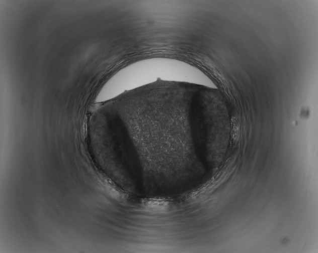 X0000099580471200806061631