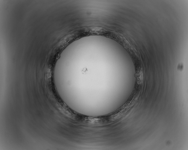 X0000099580472200806061631