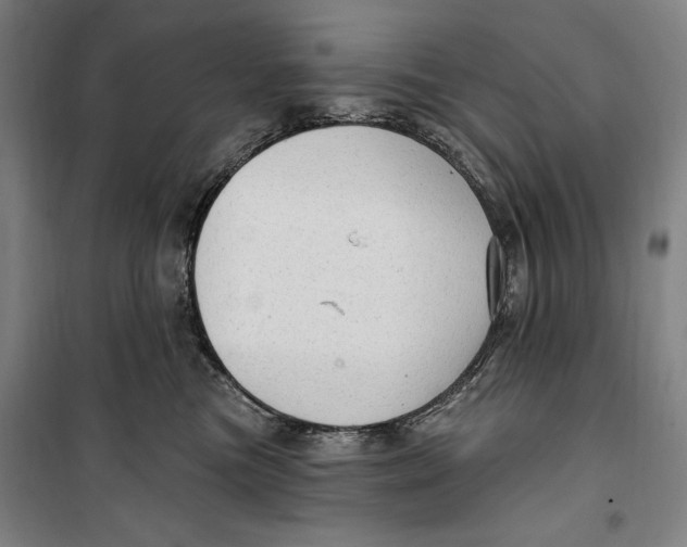 X0000099580473200806061631