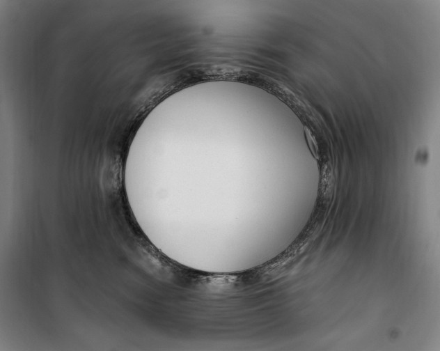 X0000099580474200806061631