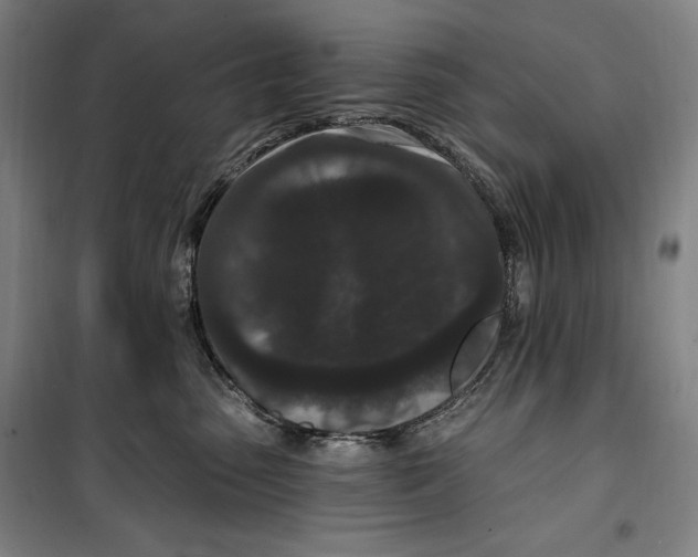 X0000099580475200806061631