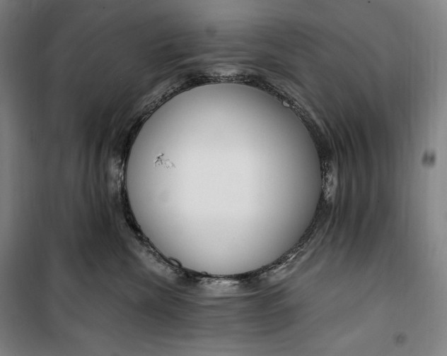 X0000099580476200806061631