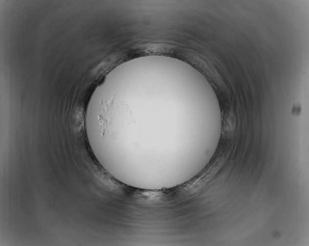 X0000099580478200806061631