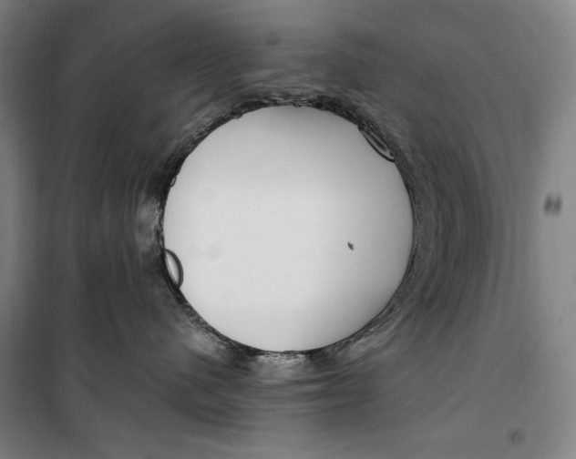 X0000099580480200806061631