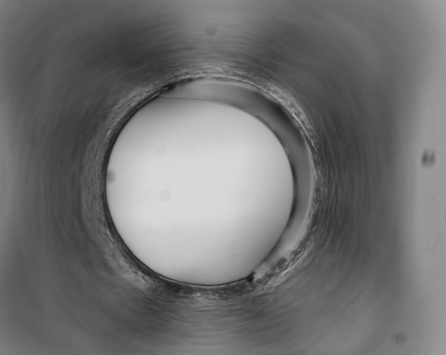 X0000099580481200806061630