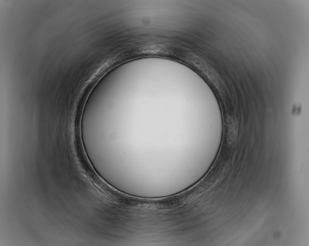 X0000099580482200806061630