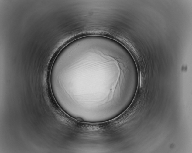 X0000099580483200806061630