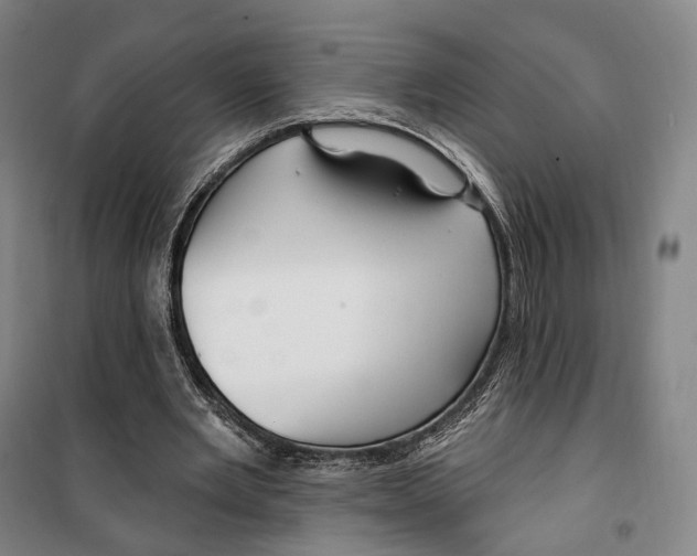 X0000099580485200806061630