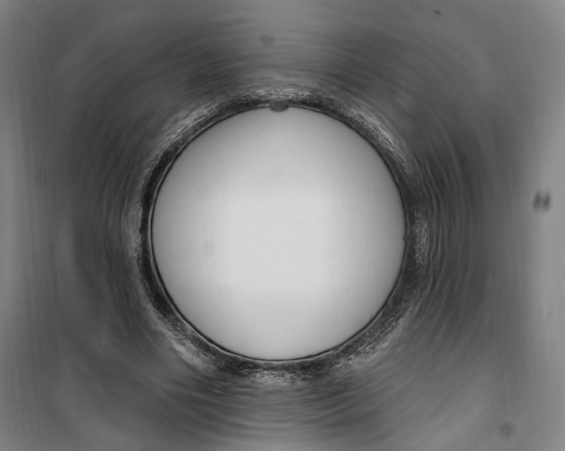 X0000099580490200806061630