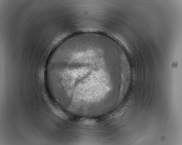 X0000099580491200806061630