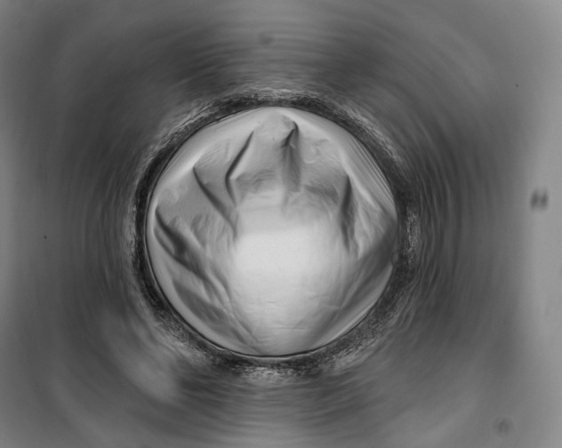 X0000099580494200806061630