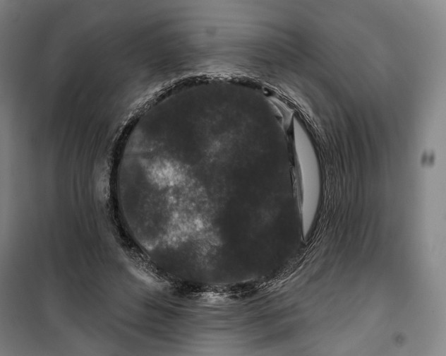 X0000099580496200806061630