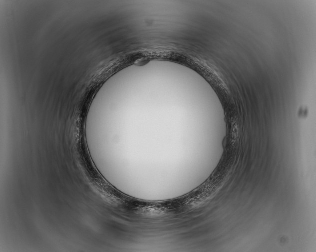 X0000099580498200806061630