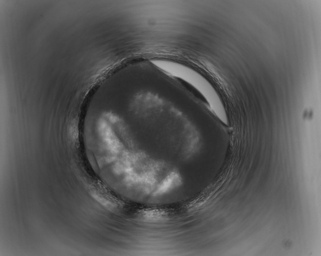 X0000099580500200806061630