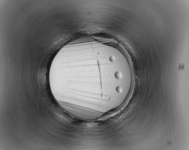 X0000099580501200806061630