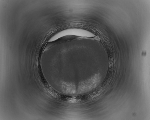 X0000099580504200806061630