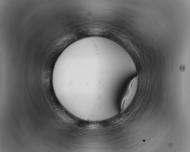 X0000099580505200806061630