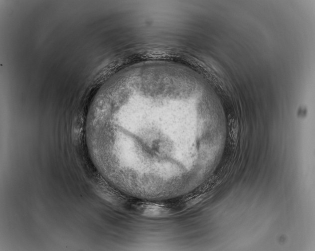 X0000099580507200806061630