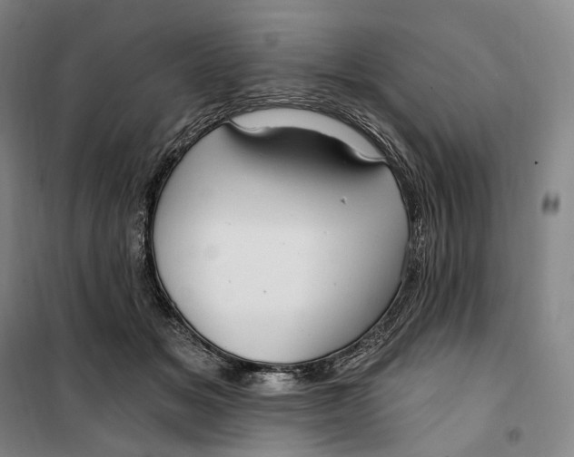 X0000099580509200806061630