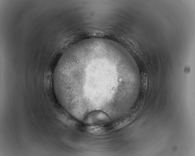 X0000099580511200806061630