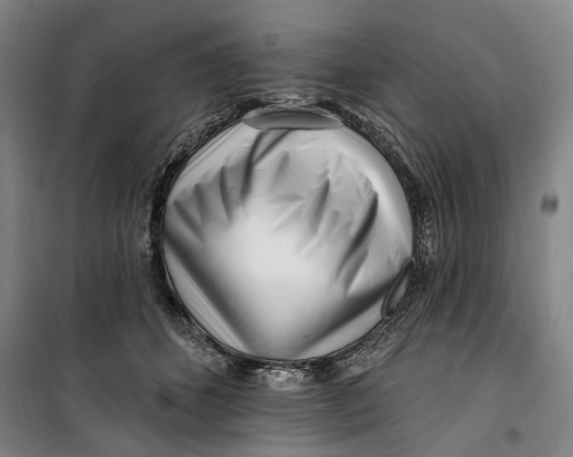 X0000099580512200806061630