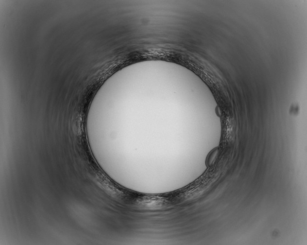 X0000099580514200806061630