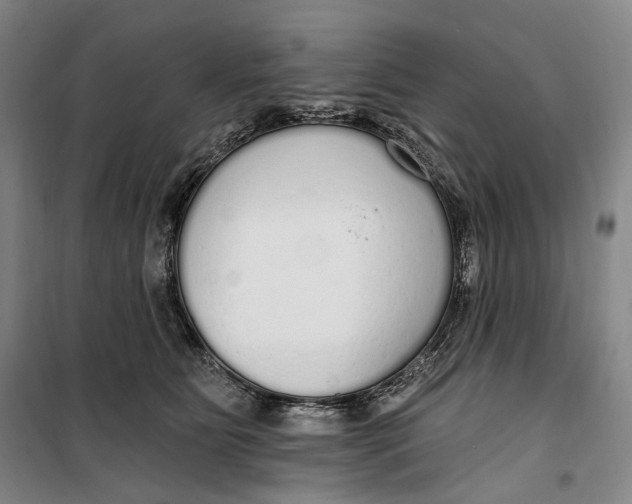 X0000099580515200806061630