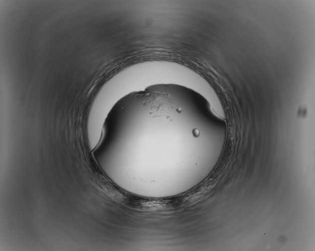 X0000099580516200806061630