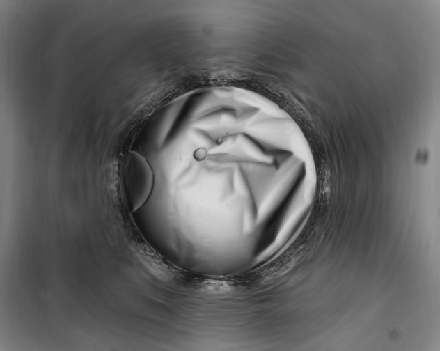 X0000099580519200806061630