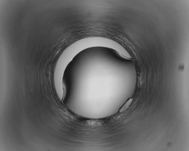 X0000099580520200806061630