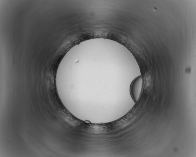 X0000099580522200806061630