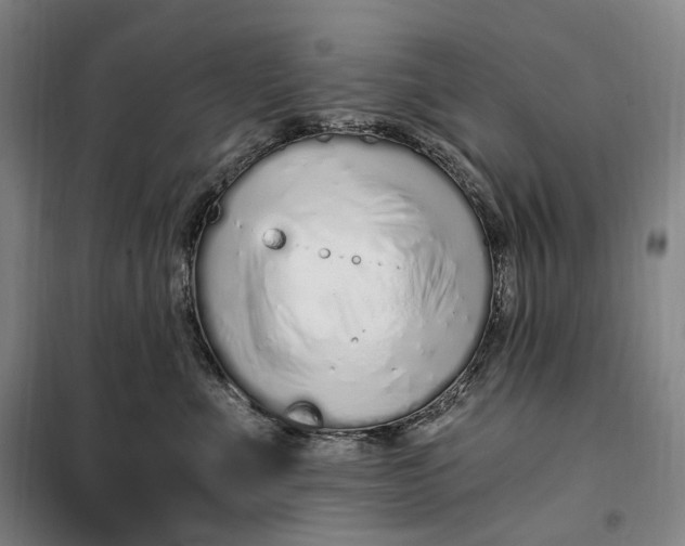 X0000099580523200806061630