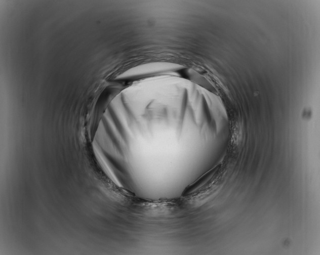 X0000099580524200806061630