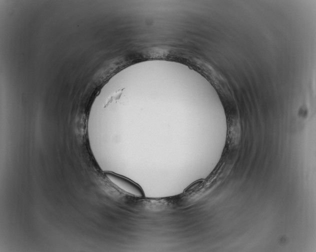 X0000099580525200806061630