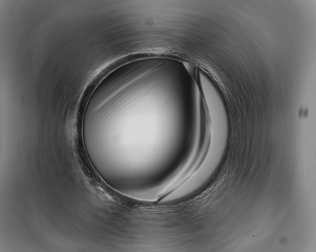 X0000099580532200806061629